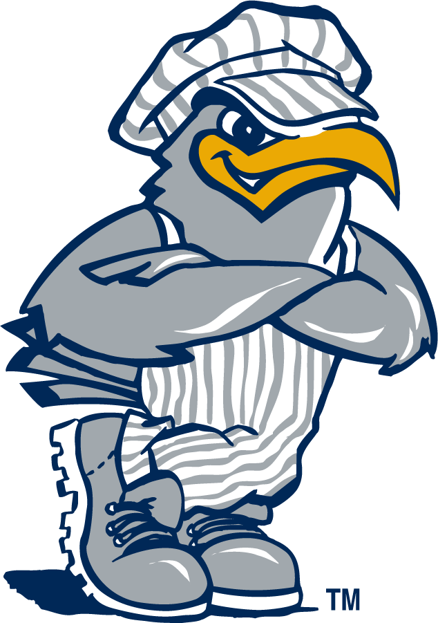 Chattanooga Mocs 1997-2008 Alternate Logo diy iron on heat transfer